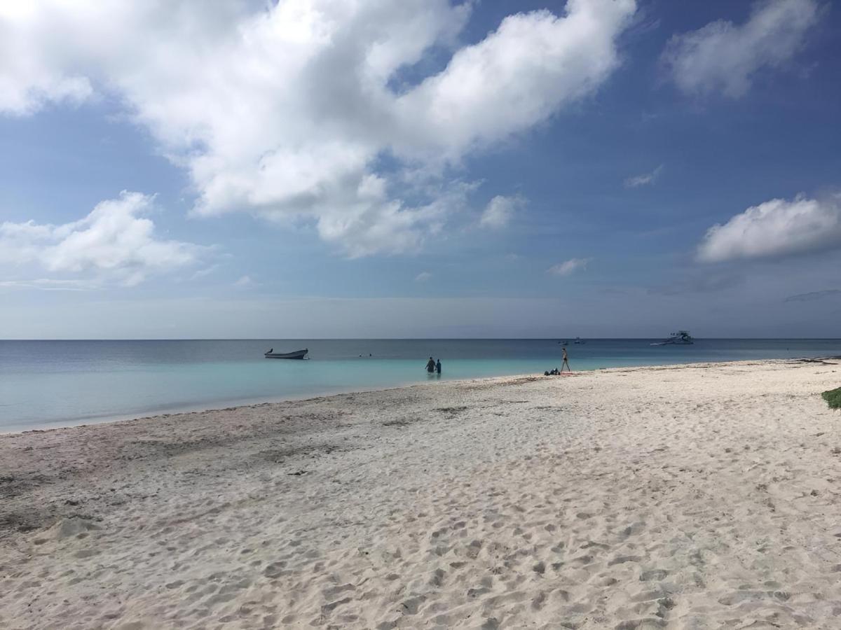 Beautiful And Comfy Penthouse&Apartment Playa del Carmen Zewnętrze zdjęcie